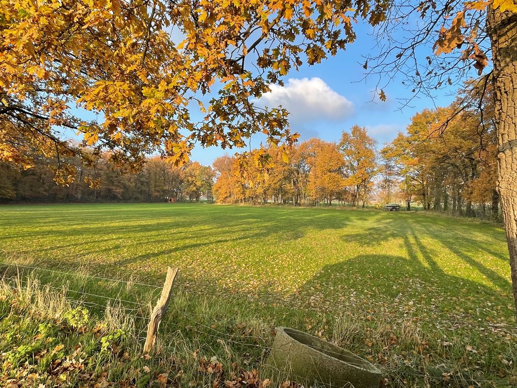 Foto 2 : Landbouwgrond te 2920 KALMTHOUT (België) - Prijs € 136.710