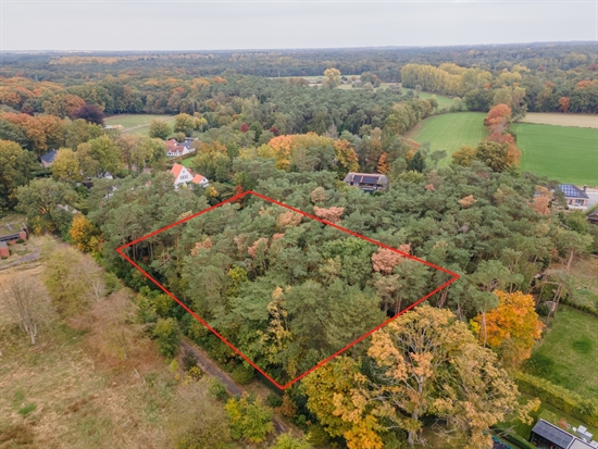 Bouwgrond te 2240 ZANDHOVEN (België) - Prijs € 419.000