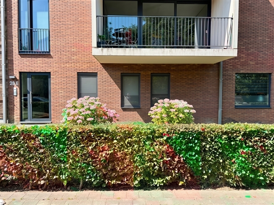 Appartement à 1082 Sint-Agatha-Berchem (Belgique) - Prix 295.000 &euro;