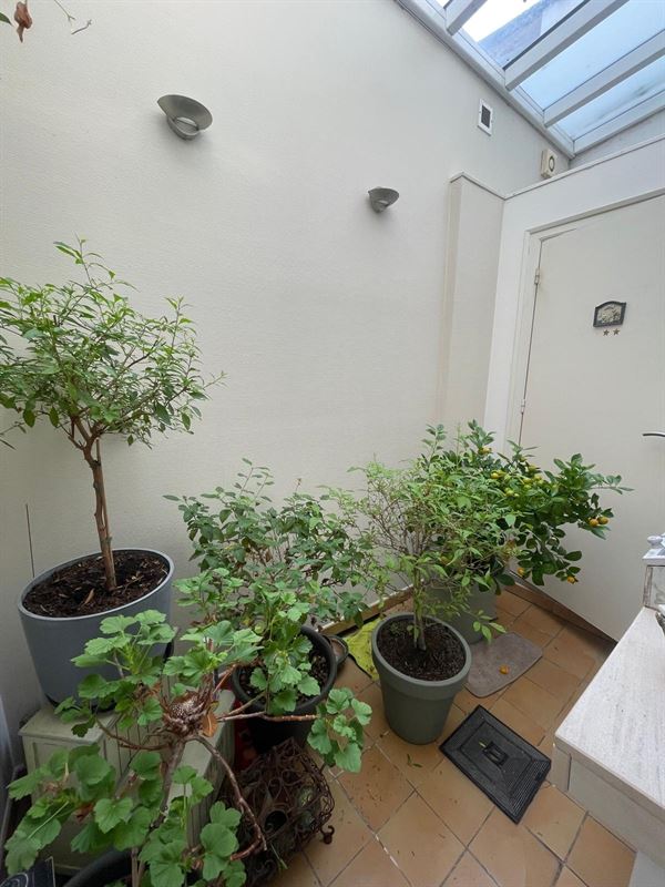 Foto 11 : Woning te 3800 SINT-TRUIDEN (België) - Prijs &euro; 179.000