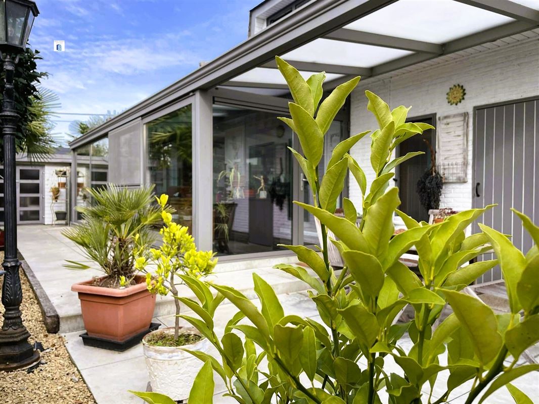 Foto 13 : Huis te 2890 LIPPELO (België) - Prijs € 449.000