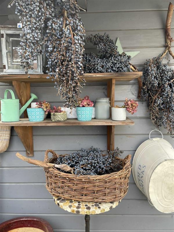 Foto 14 : Huis te 2890 LIPPELO (België) - Prijs € 449.000