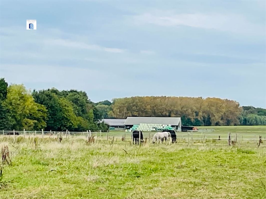 Foto 12 : Huis te 1840 STEENHUFFEL (België) - Prijs &euro; 249.000