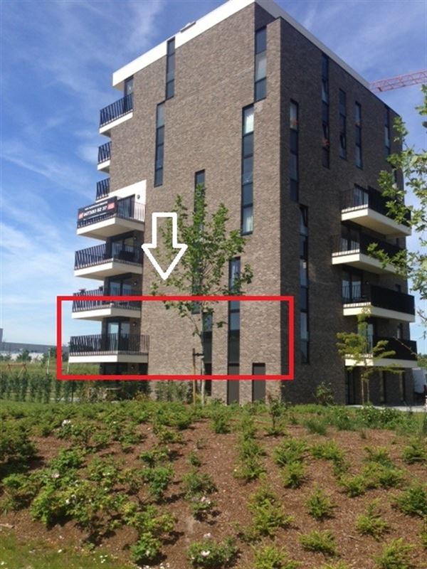 Appartement in Hasselt