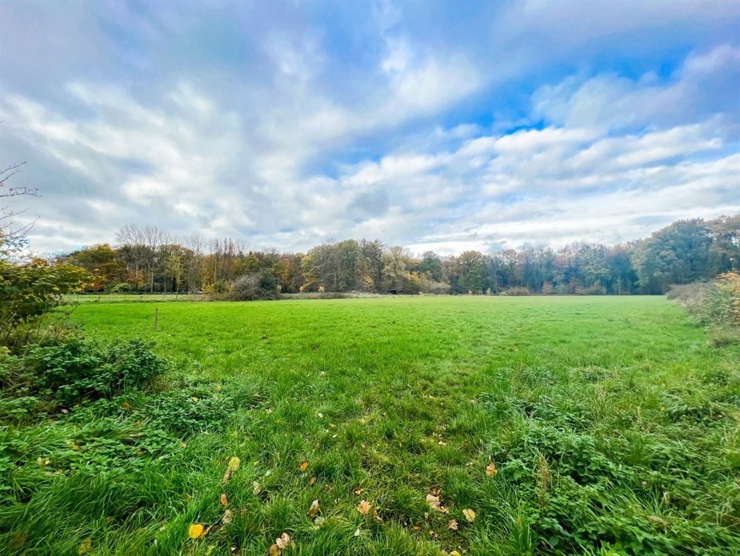 Image 4 : Terrain à bâtir à 7050 MASNUY-SAINT-JEAN (Belgique) - Prix 159.000 € Image 4 : Terrain à bâtir à 7050 MASNUY-SAINT-JEAN (Belgique) - Prix 159.000 €
