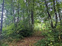 Image 4 : Terrain à 6810 CHINY (Belgique) - Prix 69.000 €