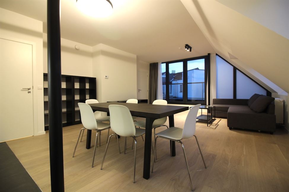 Appart 1CH neuf meublé + terrasse: dingue!