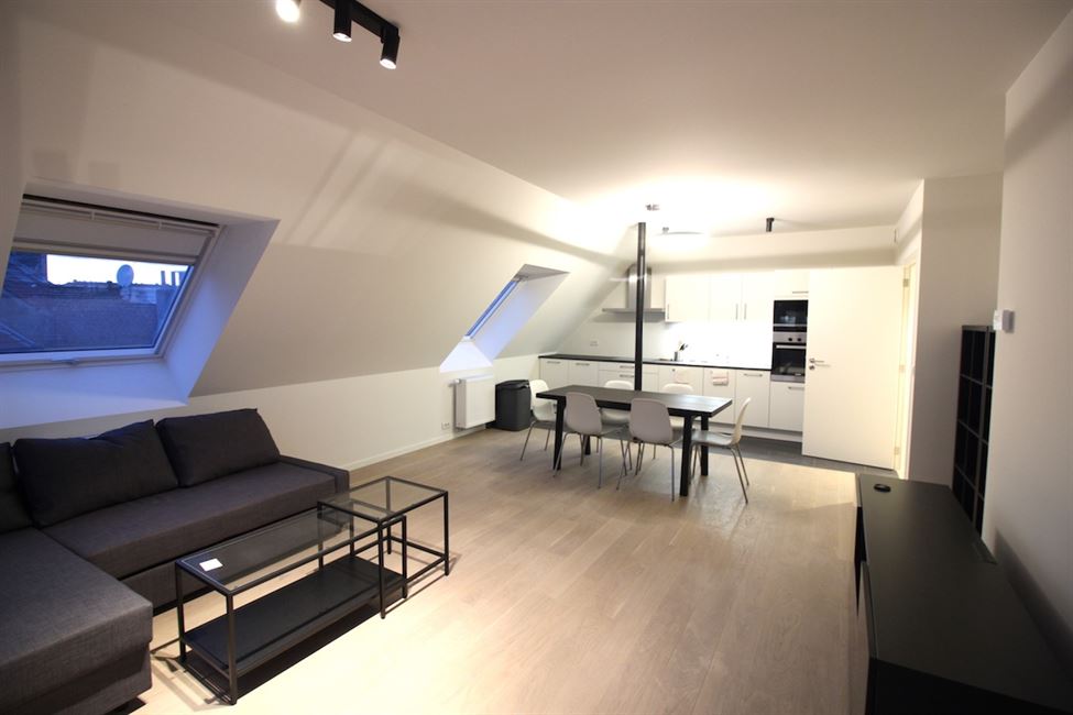 Appart 1CH neuf meublé + terrasse: dingue!