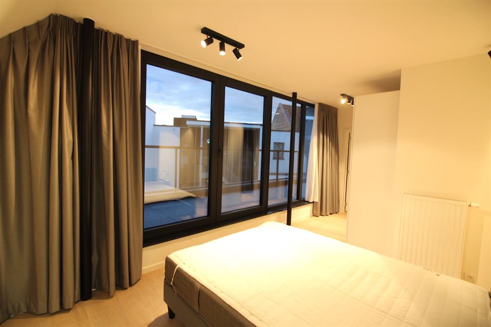 Appart 1CH neuf meublé + terrasse: dingue!