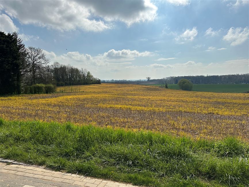 VALDEL IMMO A VENDU !!!