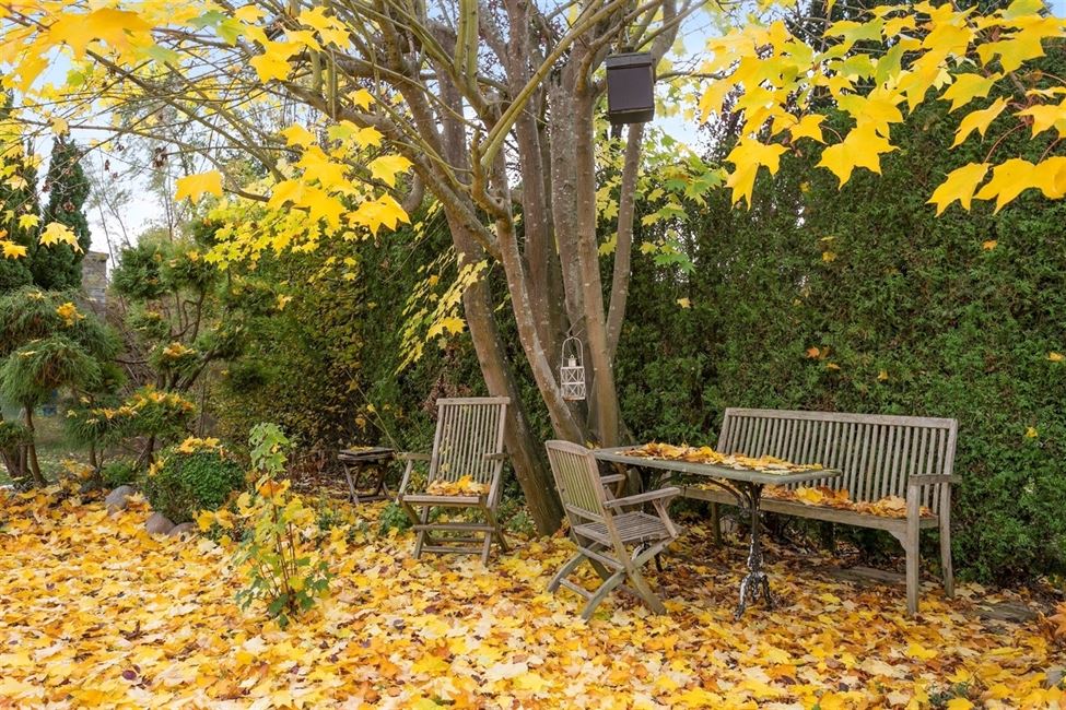 LA CO-LOC EST COMPLETE !!!