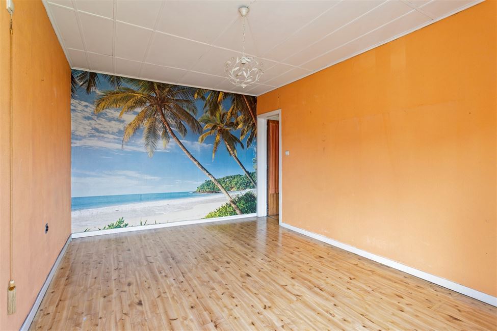 OPTION OPTION Maison à rénover avec tt mignon jardin