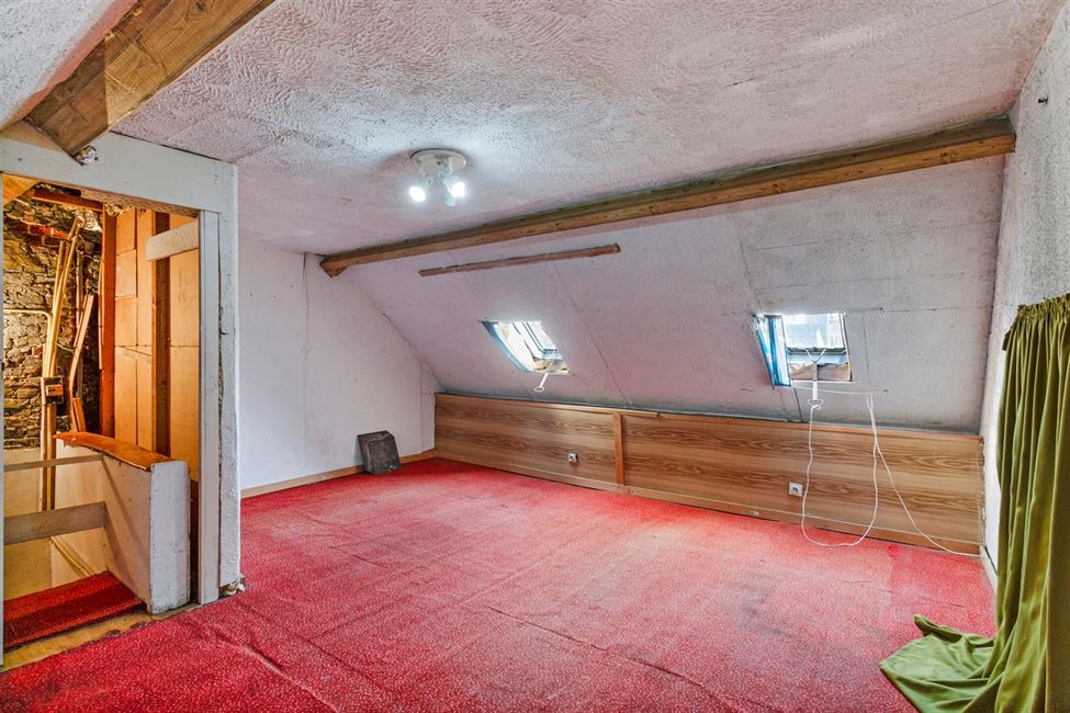 OPTION OPTION Maison à rénover avec tt mignon jardin