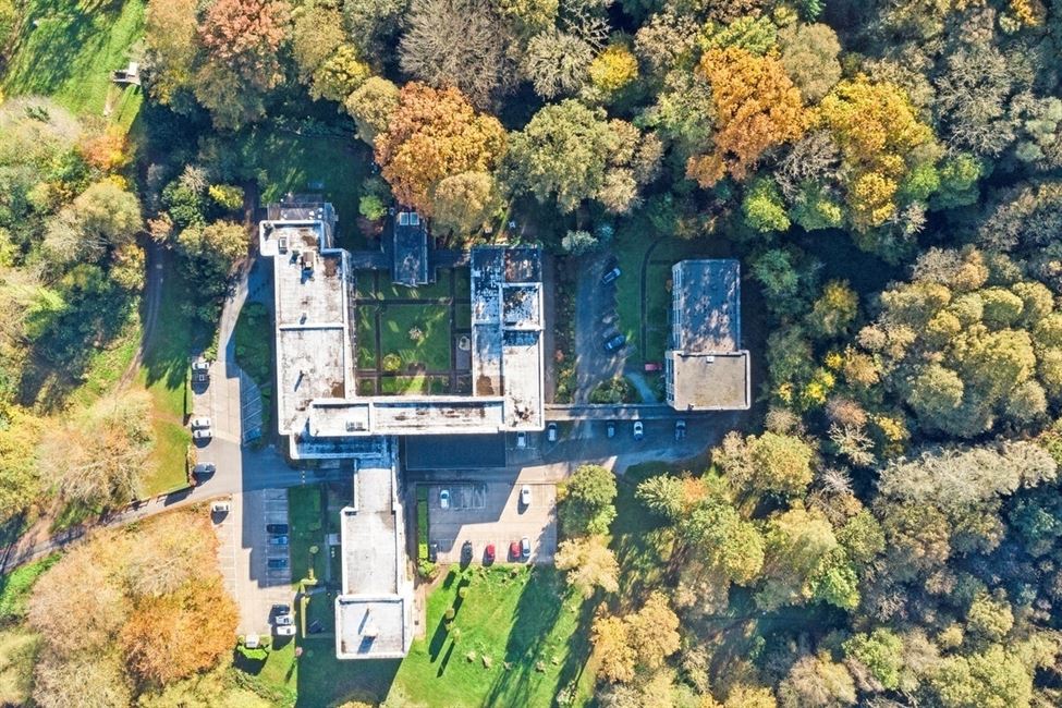 Studio entièrement rénové au coeur d'une forêt incroyable.