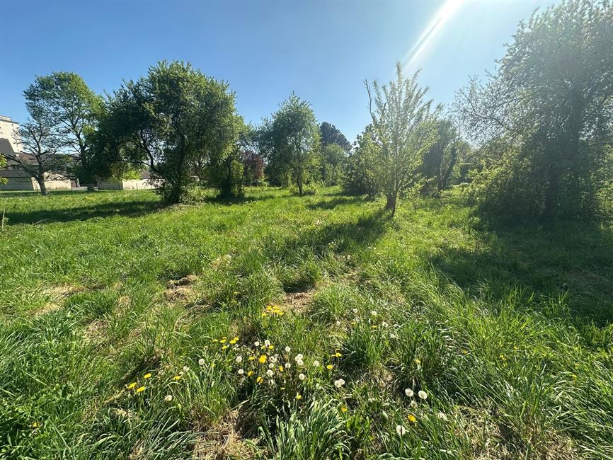 Magnif. terrain plein sud qui attend votre villa !