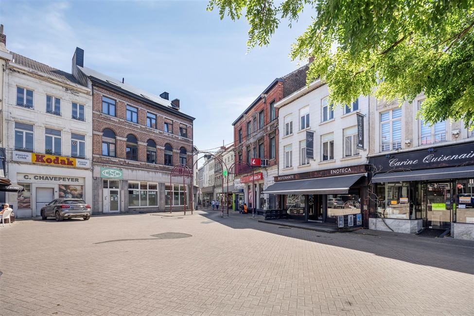 Magnif.triplex 3 ch avec terr et cour de 2019-2020.