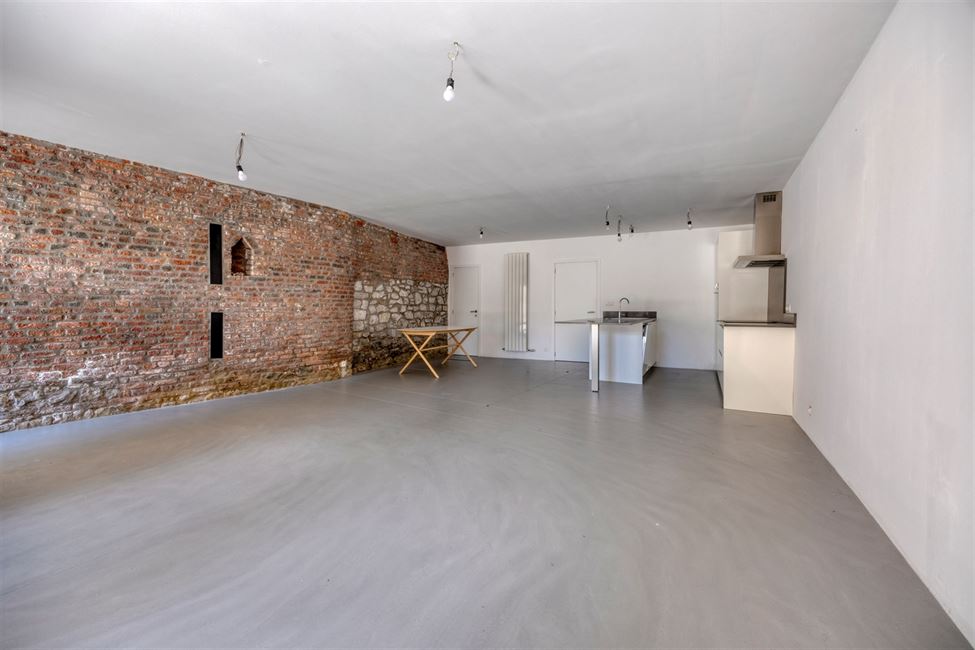 Magnif.triplex 3 ch avec terr et cour de 2019-2020.
