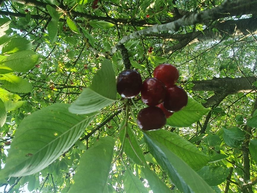 DEJA SOUS OPTION 12/12/2025 !!!!