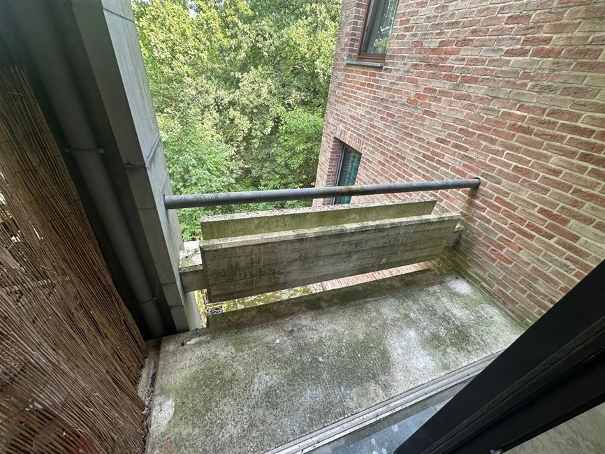 SOUS OPTION JUSQU'AU 18/11/2025 !