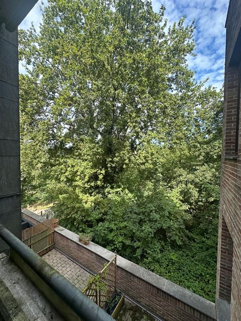 SOUS OPTION JUSQU'AU 18/11/2025 !