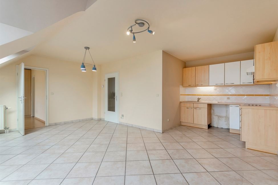 Appartement 1CH tout lumineux,jardin commun !