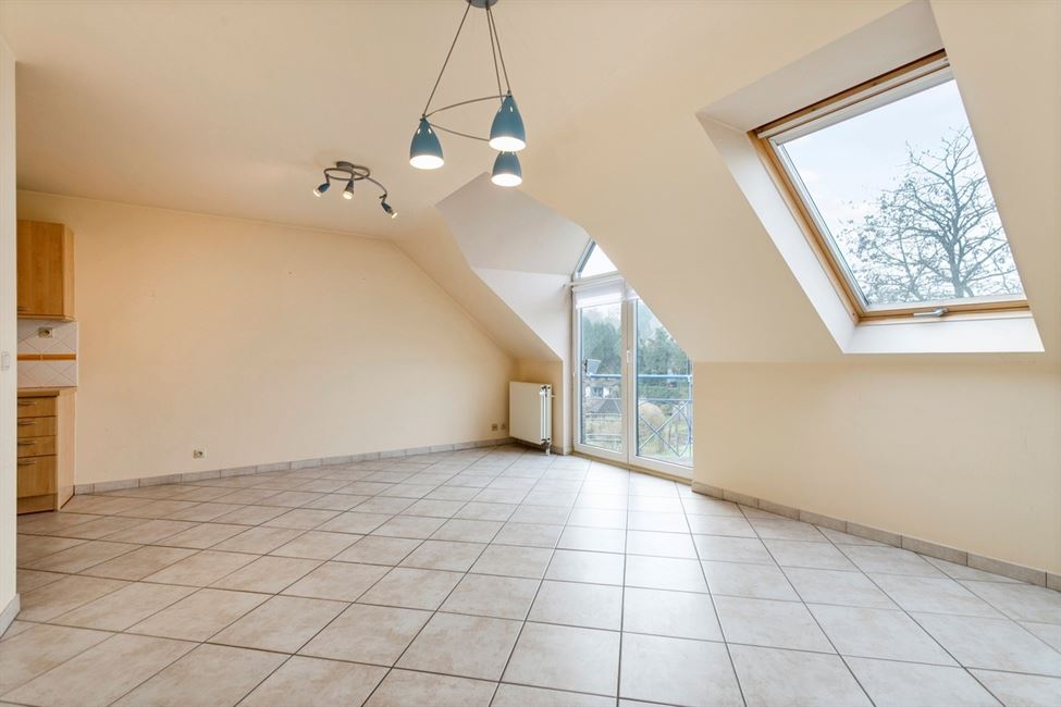 Appartement 1CH tout lumineux,jardin commun !