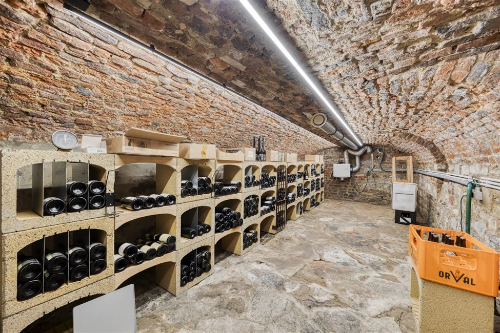 Exceptionnelle propriété, 2 logements, 7 chambres !