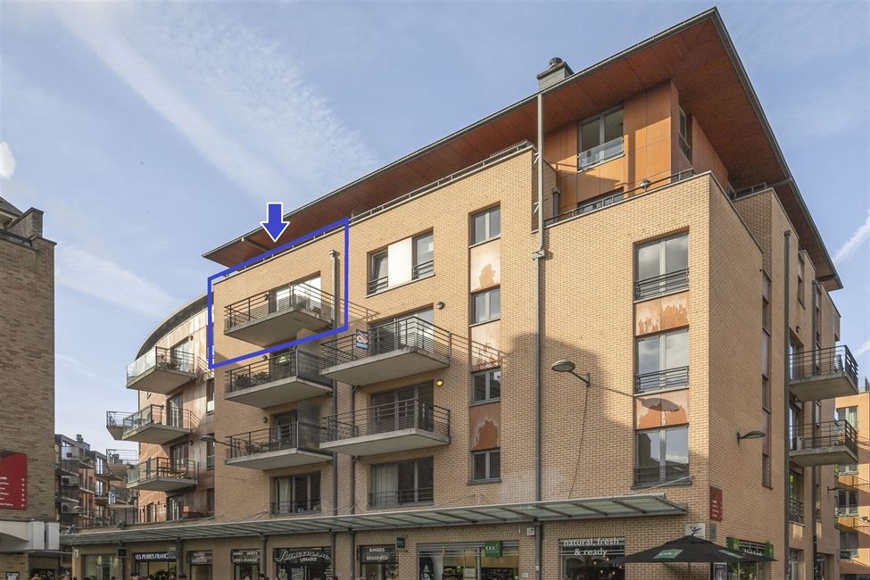 Magnif.appart 3 ch, 2 parkings, cave au coeur de LLN.