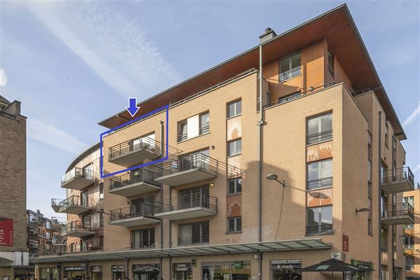 Magnif.appart 3 ch, 2 parkings, cave au coeur de LLN.