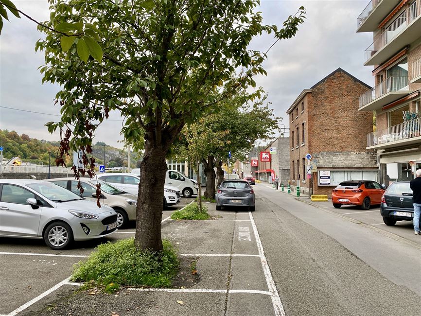 Magnifique appart traversant 2CH, terr. vue Meuse PEB B!