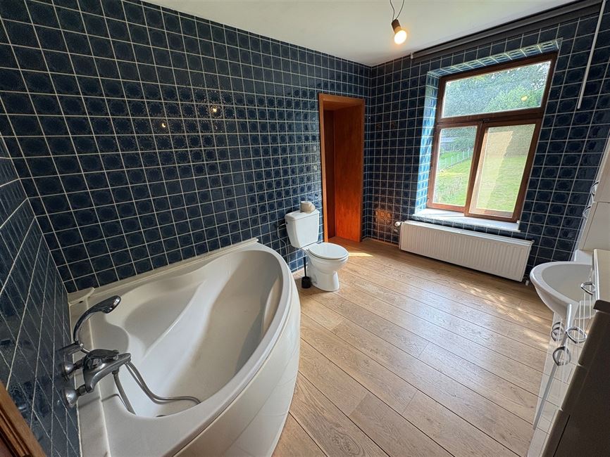 Vaste maison villageoise, idéale famille & co-location !