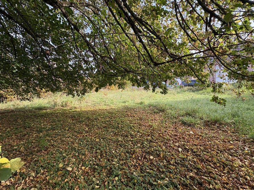 Très beau terrain pr villa contemporaine splendide !