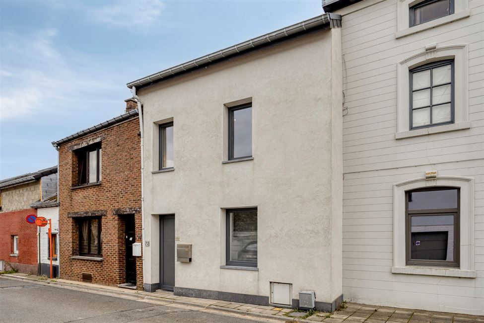 Mimi maison de ville entièrement rénovée 2016, charme fou, beau jardin !