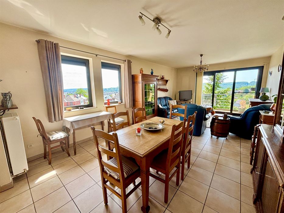 Absil immobilière vous présente un appartement 2ch avec une magnifique vue