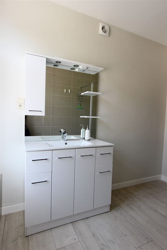 Image 19 : Maison à 4280 GRAND-HALLET (Belgique) - Prix 1.250 &euro;