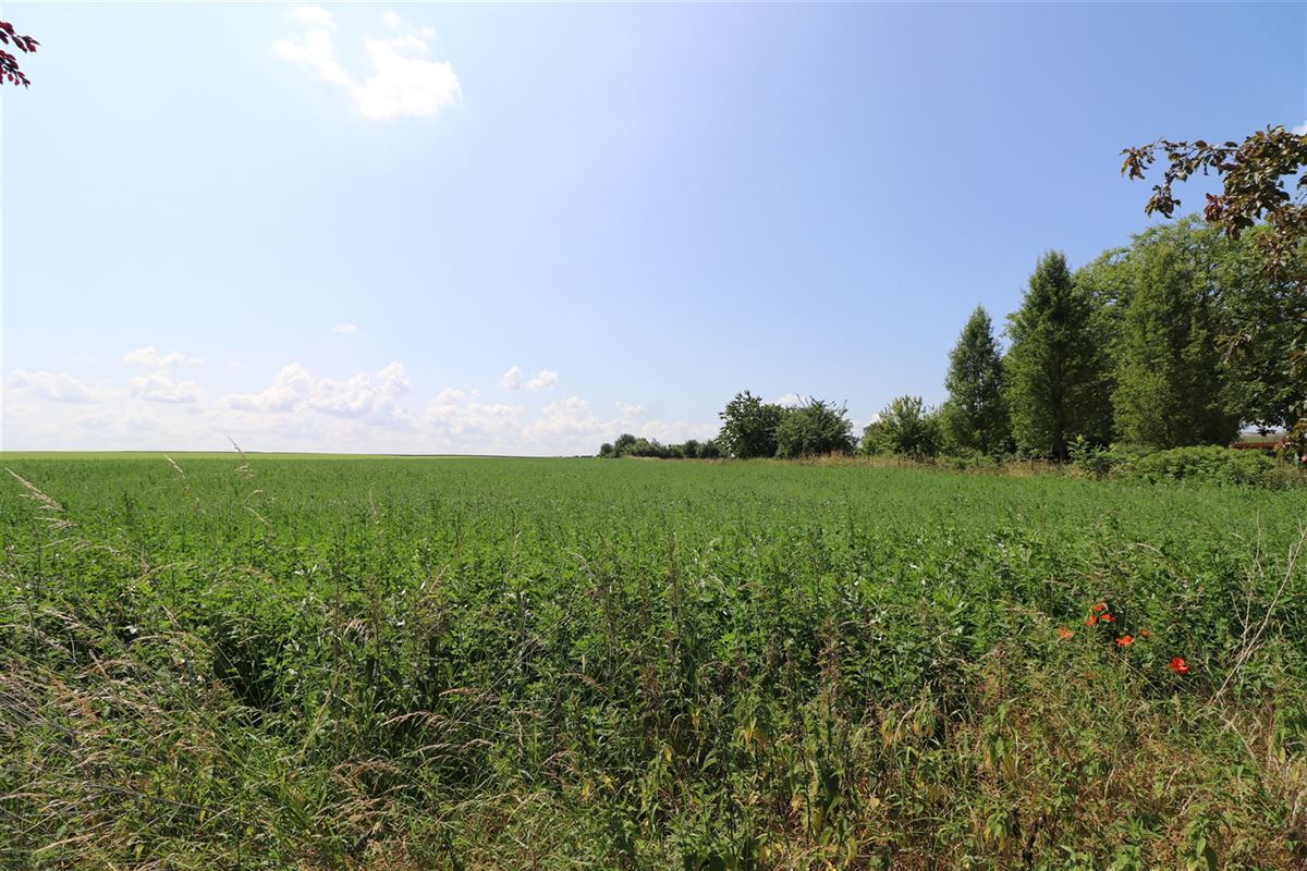 Image 5 : Terrain à bâtir à 4260 CIPLET (Belgique) - Prix 122.000 €