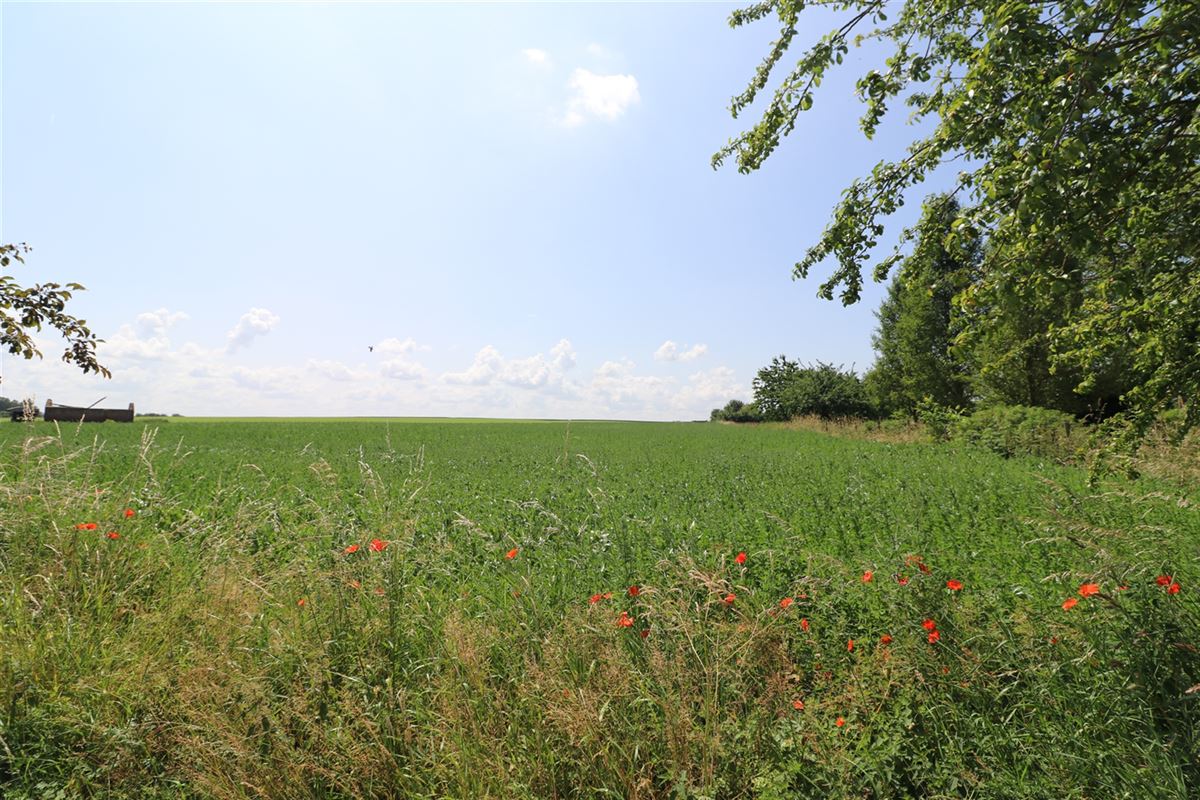 Image 4 : Terrain à bâtir à 4260 CIPLET (Belgique) - Prix 122.000 €