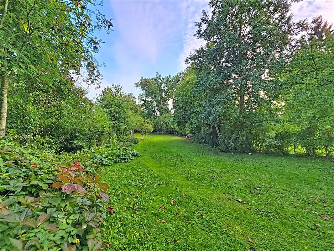 Image 17 : Maison villageoise à 4280 GRAND-HALLET (Belgique) - Prix 439.000 €