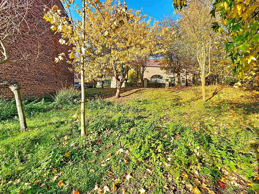 Image 5 : Terrain à bâtir à 4260 AVENNES (Belgique) - Prix 83.000 €