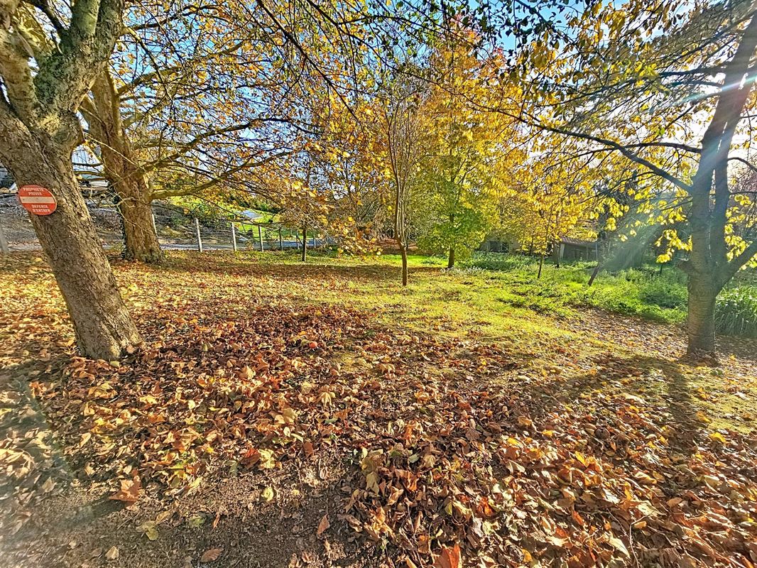 Image 4 : Terrain à bâtir à 4260 AVENNES (Belgique) - Prix 83.000 €