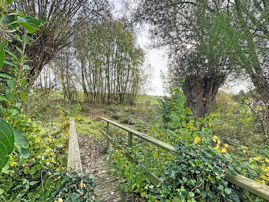 Image 11 : Maison à 4260 CIPLET (Belgique) - Prix 265.000 €