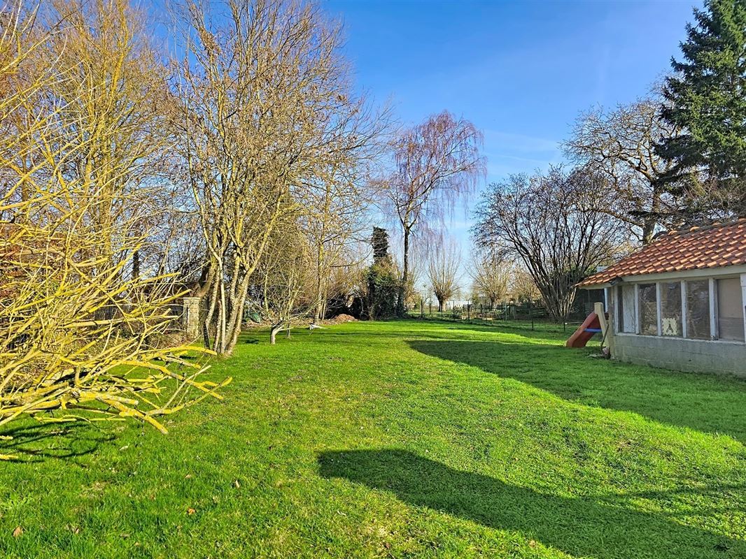 Image 14 : Maison à 4280 THISNES (Belgique) - Prix 280.000 &euro;