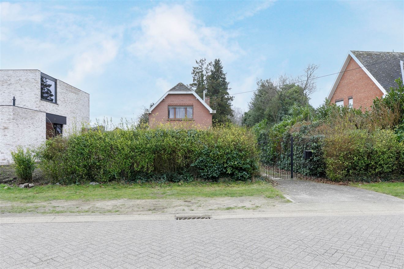 Witbos 18