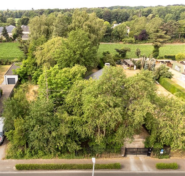 Grond in SINT-ANTONIUS