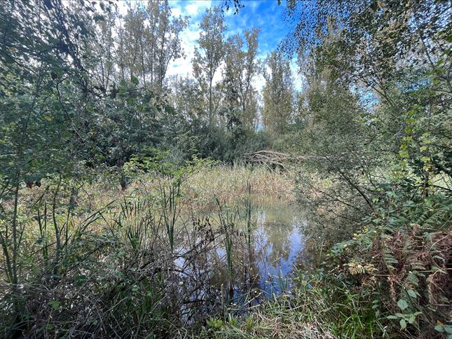 Grond in ZANDHOVEN