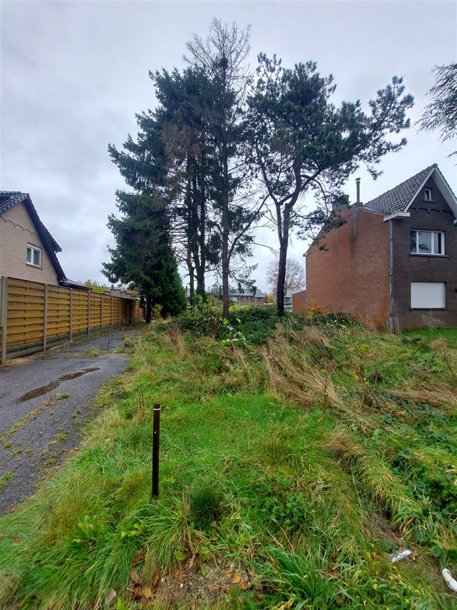 Grond in Tessenderlo-Ham