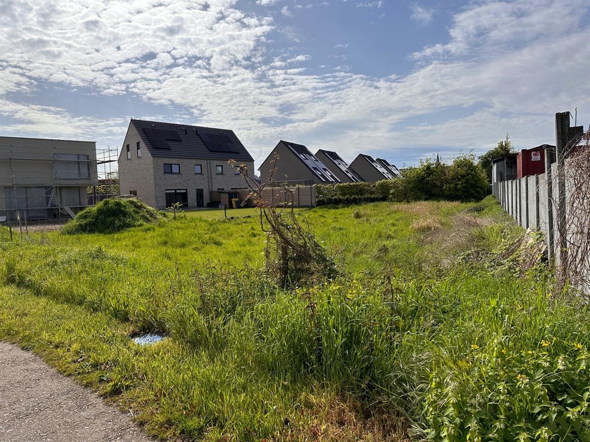 Grond Te Koop Geel