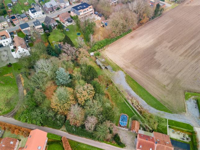 Grond in Oelegem