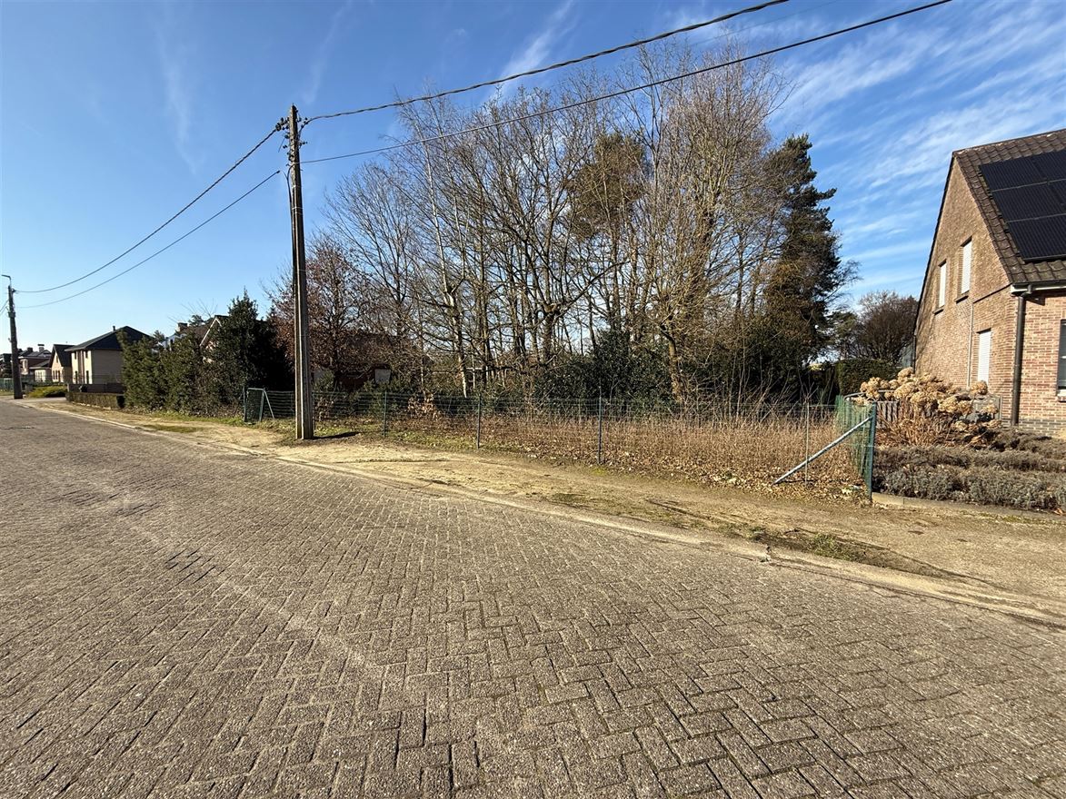 Hoofdfoto Grond in Grobbendonk