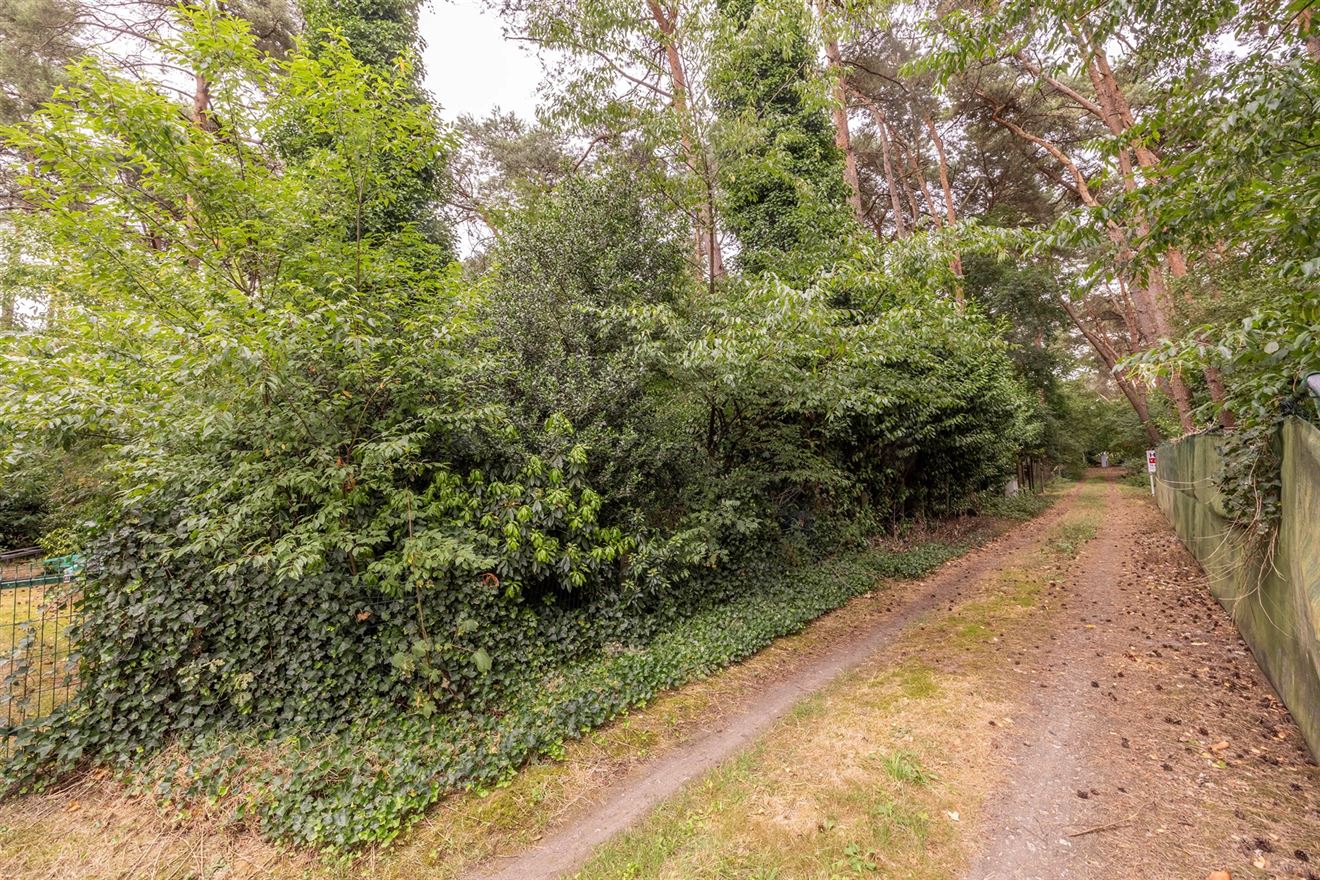 Hoofdfoto Grond in Vorselaar
